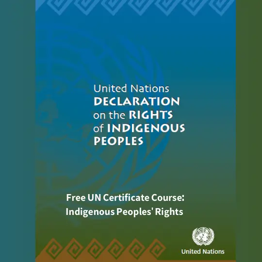 E-Learning Tool on the Rights of Indigenous Peoples – Free Online ...