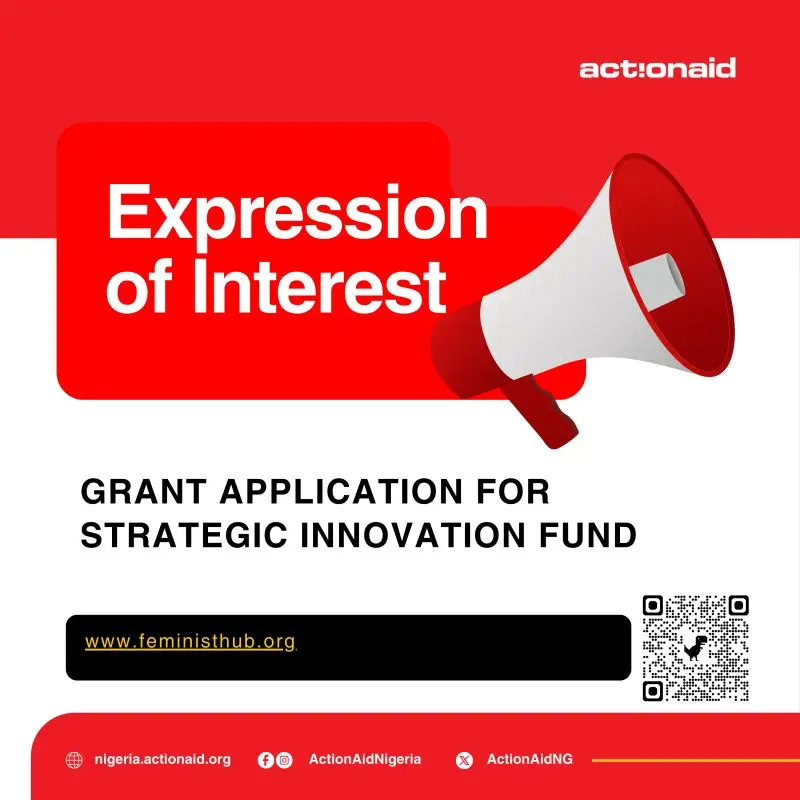 ActionAid Nigeria Strategic Opportunity Fund: Support for Women’s Rights and Feminist Organizing