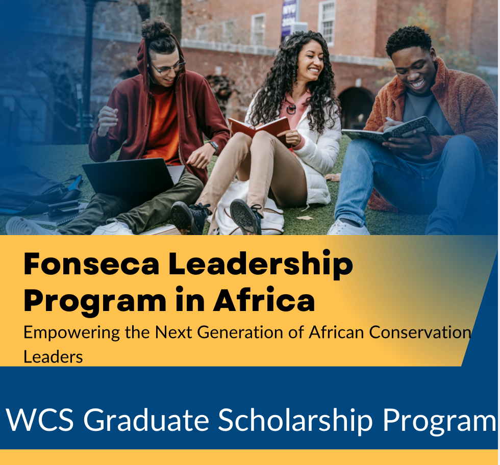 WCS Graduate Scholarship Program: Fonseca Leadership Program in Africa-Empowering the Next Generation of African Conservation Leaders
