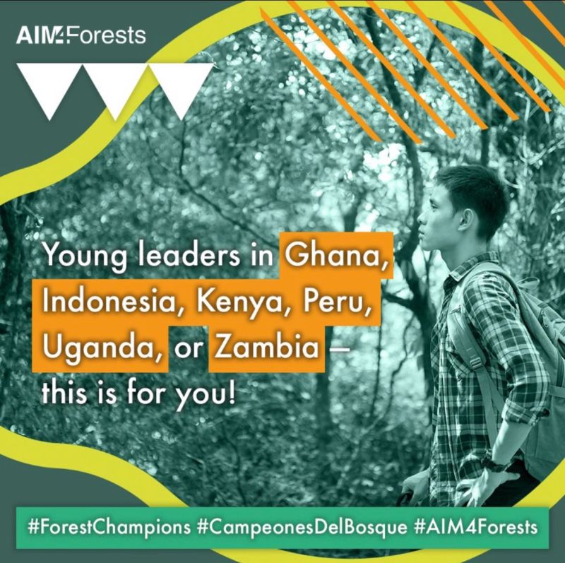 Flyer promoting the FAO Young Forest Champions Programme 2026, supporting youth-led forest action in Ghana, Indonesia, Kenya, Peru, Uganda, and Zambia, with application deadline 21 March 2026.