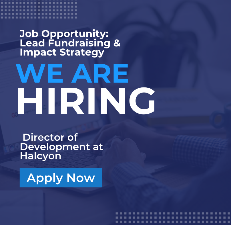 Job Opportunity: Lead Fundraising & Impact Strategy: Director of Development at Halcyon
