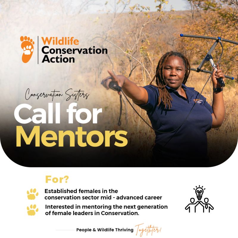 Flyer promoting the Wildlife Conservation Action Priority Action Areas mentorship opportunity,