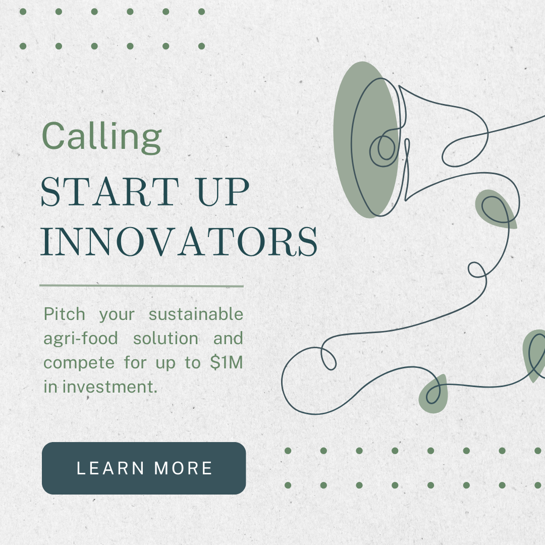 Promotional flyer for the THRIVE Global Impact Challenge 2026 encouraging global agri-food startups to apply with innovative solutions for sustainable agriculture and climate resilience.