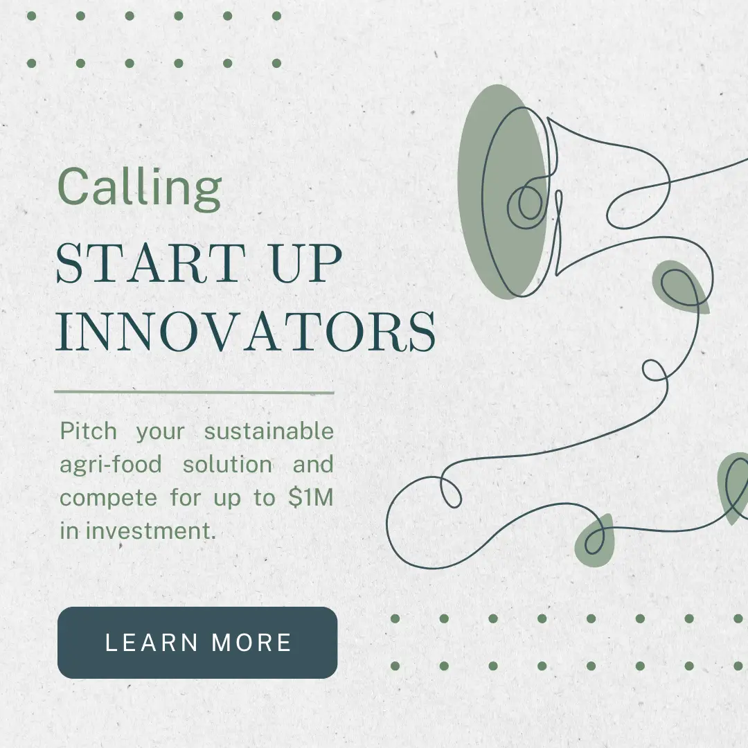 Promotional flyer for the THRIVE Global Impact Challenge 2026 encouraging global agri-food startups to apply with innovative solutions for sustainable agriculture and climate resilience.