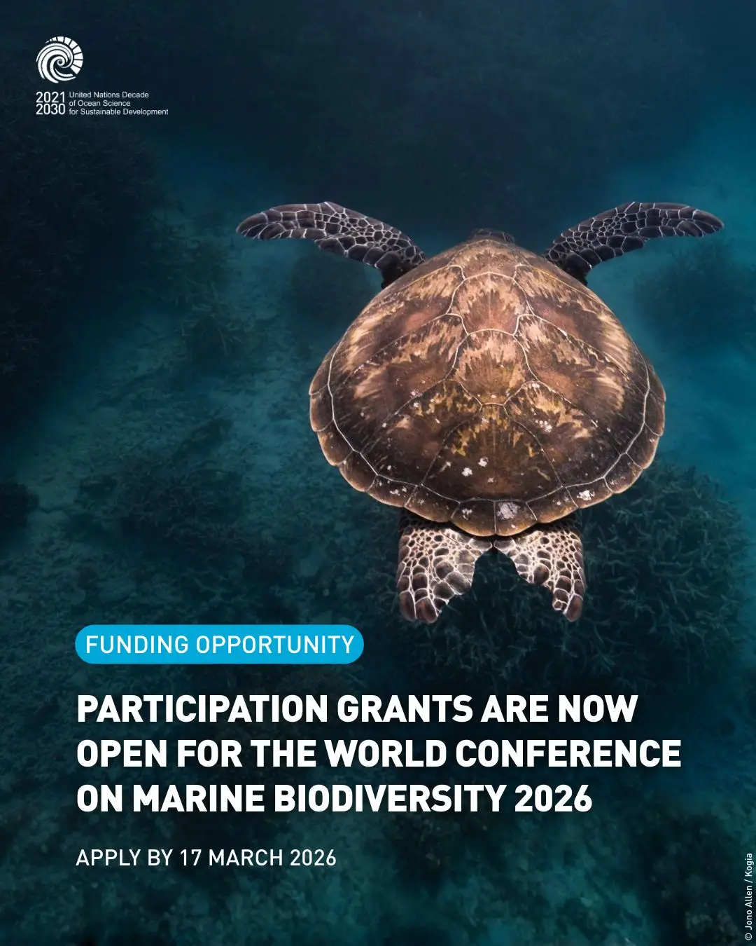 Marine Biodiversity Conference Grants 2026 in Belgium for Early Career Ocean Professionals